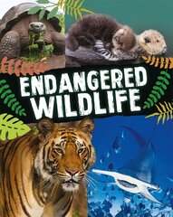 Endangered Wildlife цена и информация | Книги для подростков и молодежи | kaup24.ee