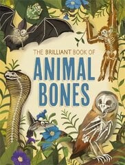 Brilliant Book of Animal Bones hind ja info | Noortekirjandus | kaup24.ee