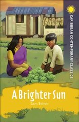 Brighter Sun цена и информация | Книги для подростков и молодежи | kaup24.ee