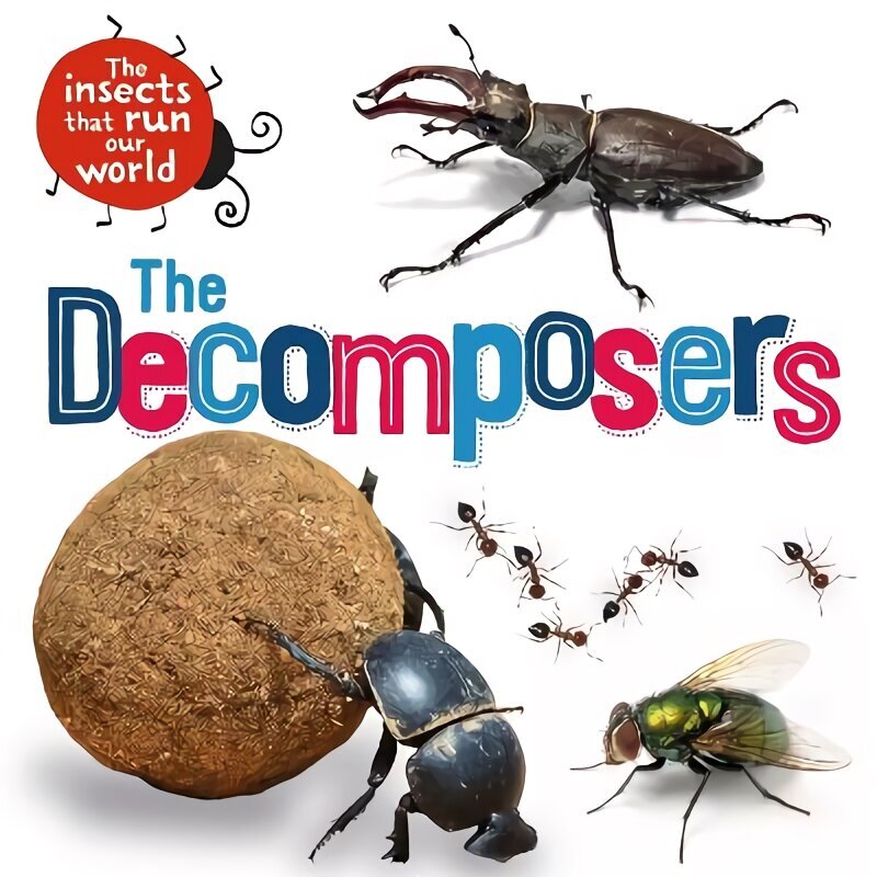 Insects that Run Our World: The Decomposers цена и информация | Noortekirjandus | kaup24.ee