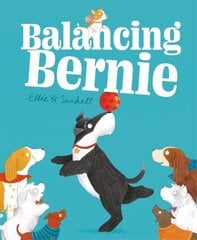 Balancing Bernie цена и информация | Книги для малышей | kaup24.ee