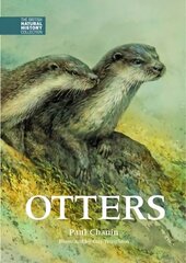 Otters hind ja info | Tervislik eluviis ja toitumine | kaup24.ee