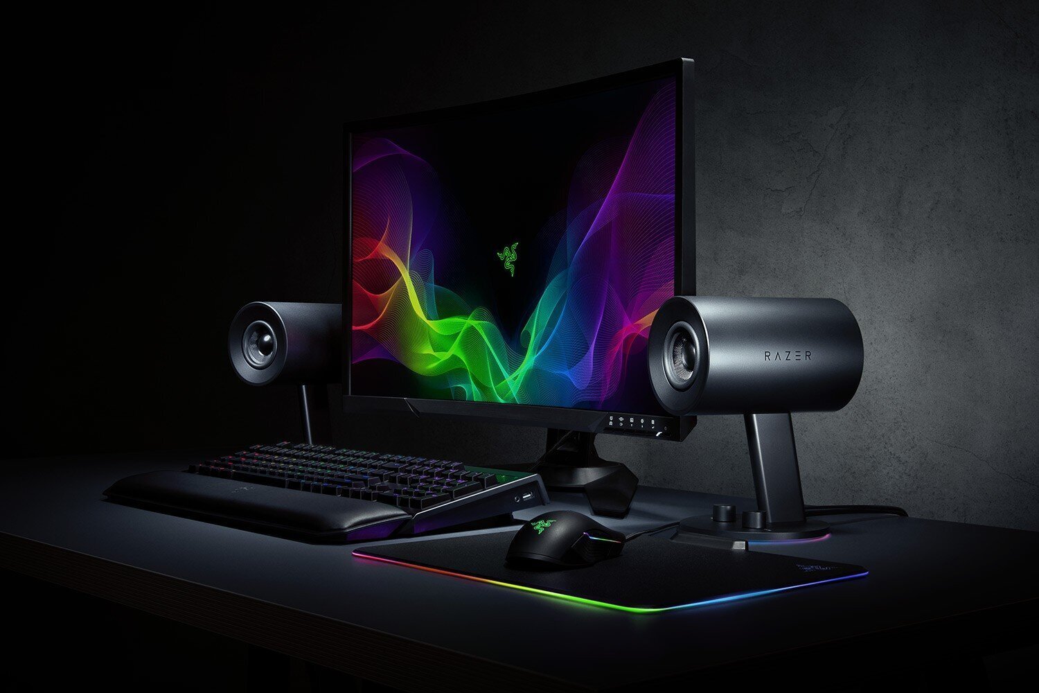 Razer RZ05-02450100-R3G1 цена и информация | Kõlarid | kaup24.ee