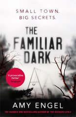 Familiar Dark: The must-read, utterly gripping thriller you won't be able to put down цена и информация | Фантастика, фэнтези | kaup24.ee