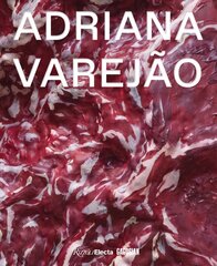 Adriana Varejao hind ja info | Kunstiraamatud | kaup24.ee