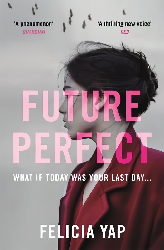 Future Perfect: The Most Exciting High-Concept Novel of the Year hind ja info | Fantaasia, müstika | kaup24.ee