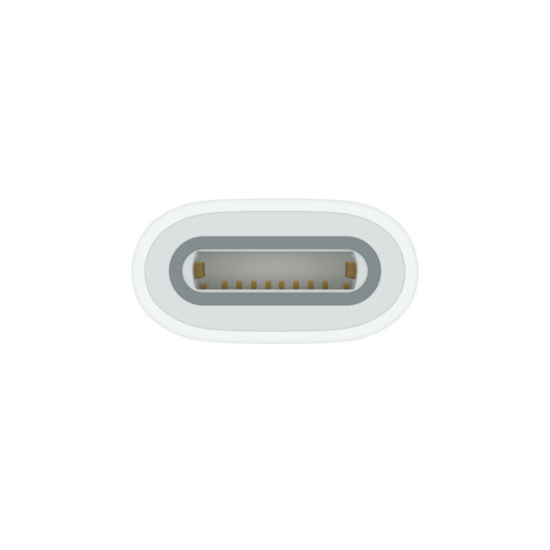 Apple USB-C to Apple Pencil Adapter - MQLU3ZM/A hind ja info | USB jagajad, adapterid | kaup24.ee