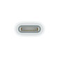Apple USB-C to Apple Pencil Adapter - MQLU3ZM/A hind ja info | USB jagajad, adapterid | kaup24.ee