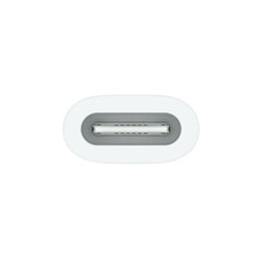 Apple USB-C to Apple Pencil Adapter - MQLU3ZM/A цена и информация | Адаптер Aten Video Splitter 2 port 450MHz | kaup24.ee