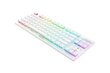 Razer Optical Keyboard Deathstalker V2 Pro RGB LED hind ja info | Klaviatuurid | kaup24.ee