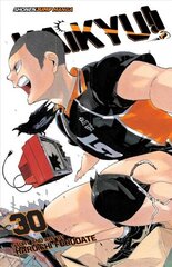 Haikyu!!, Vol. 30: Broken Heart цена и информация | Фантастика, фэнтези | kaup24.ee