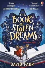 Book of Stolen Dreams цена и информация | Книги для подростков и молодежи | kaup24.ee