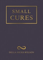 Small Cures цена и информация | Поэзия | kaup24.ee