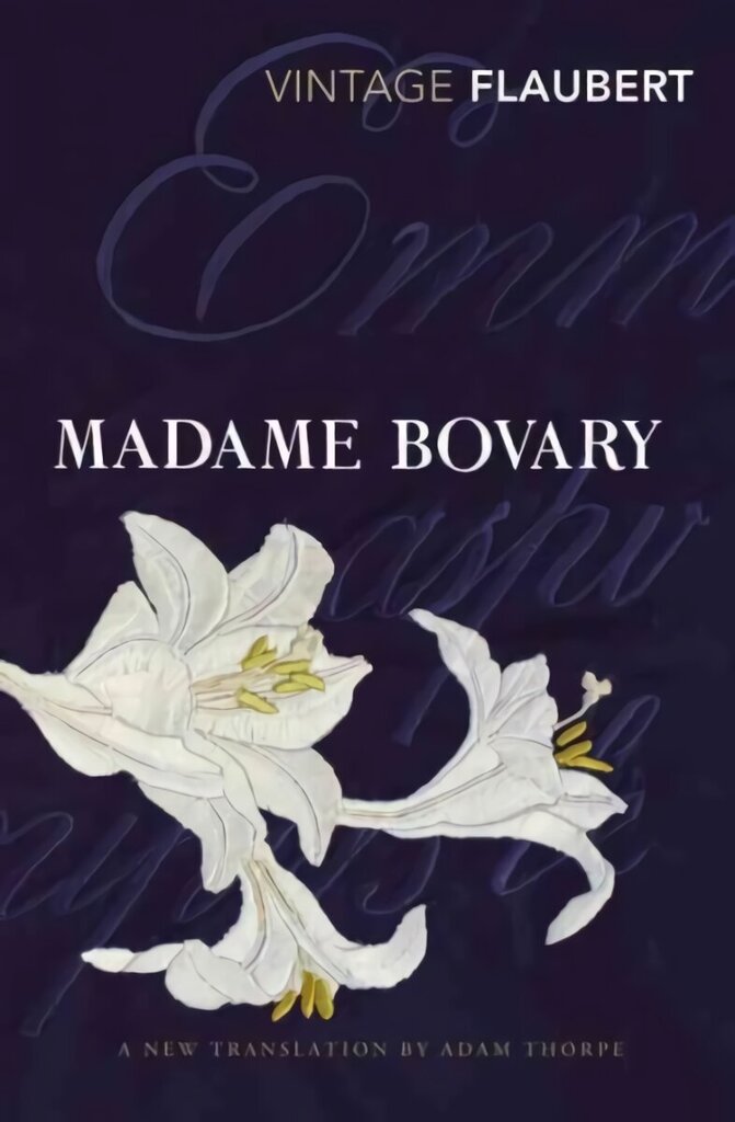 Madame Bovary hind ja info | Fantaasia, müstika | kaup24.ee