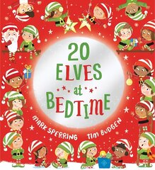 Twenty Elves at Bedtime hind ja info | Väikelaste raamatud | kaup24.ee