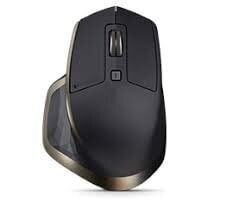 Logitech 910-005213, must/kuldne цена и информация | Мыши | kaup24.ee