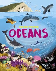 Big Picture: Oceans цена и информация | Книги для подростков и молодежи | kaup24.ee