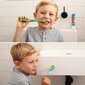 Brush Baby Flossbrush hambahari vanusele 3-6 (lilla) цена и информация | Suuhügieen | kaup24.ee