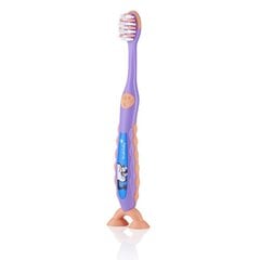 Brush Baby Flossbrush hambahari vanusele 3-6 (lilla) цена и информация | Для ухода за зубами | kaup24.ee