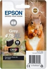 Картридж с оригинальными чернилами Epson C13T04F64010 Серый цена и информация | Картриджи для струйных принтеров | kaup24.ee