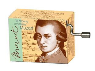 Музыкальная шкатулка Fridolin Mozart Night music цена и информация | Развивающие игрушки и игры | kaup24.ee