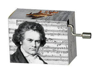 Музыкальная шкатулка Fridolin Beethoven Song of Joy цена и информация | Развивающие игрушки | kaup24.ee