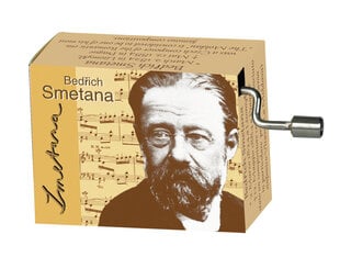 Музыкальная шкатулка Fridolin Bedrich Smetana Die Moldau цена и информация | Развивающие игрушки и игры | kaup24.ee