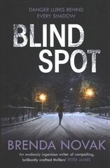 Blind Spot: A unputdownable new thriller to keep you reading all night! hind ja info | Fantaasia, müstika | kaup24.ee