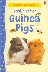 Looking after Guinea Pigs цена и информация | Энциклопедии, справочники | kaup24.ee