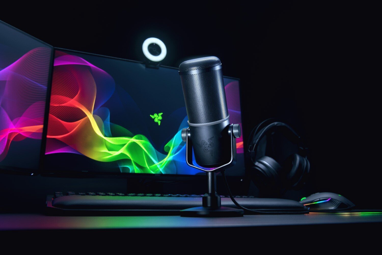 Mikrofon Razer Professional Grade Dynamic Streami цена и информация | Mikrofonid | kaup24.ee