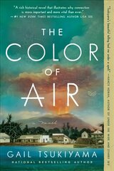 Color of Air: A Novel цена и информация | Фантастика, фэнтези | kaup24.ee