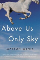 Above Us Only Sky: Essays hind ja info | Luule | kaup24.ee