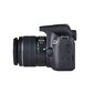 Canon EOS 2000D + 18-55mm IS II Kit цена и информация | Fotoaparaadid | kaup24.ee