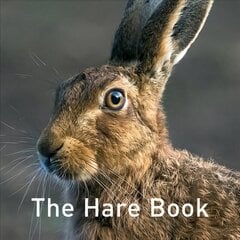 Hare Book цена и информация | Книги об искусстве | kaup24.ee