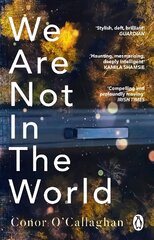 We Are Not in the World: 'compelling and profoundly moving' Irish Times цена и информация | Фантастика, фэнтези | kaup24.ee
