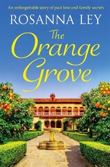 Orange Grove: an utterly mouth-watering holiday romance set in sunny Seville цена и информация | Фантастика, фэнтези | kaup24.ee
