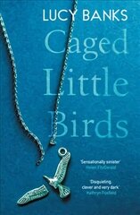 Caged Little Birds цена и информация | Фантастика, фэнтези | kaup24.ee