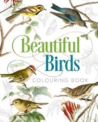 Beautiful Birds Colouring Book hind ja info | Värviraamatud | kaup24.ee