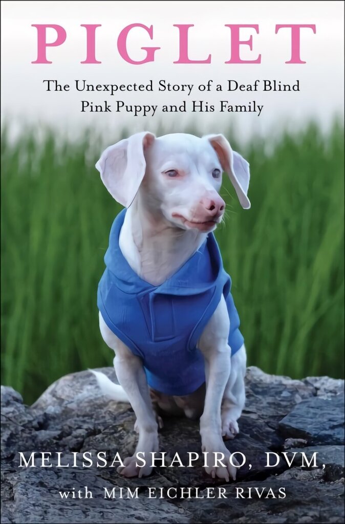 Piglet: The Unexpected Story of a Deaf, Blind, Pink Puppy and His Family цена и информация | Eneseabiraamatud | kaup24.ee