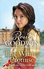 Winter Promise: A perfect cosy Victorian saga from the Sunday Times bestselling author цена и информация | Фантастика, фэнтези | kaup24.ee