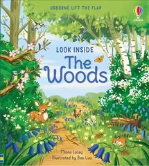 Look Inside the Woods цена и информация | Книги для малышей | kaup24.ee