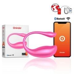 Oninder Vibrating Egg Pink цена и информация | Вибраторы | kaup24.ee