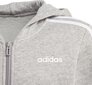 Adidas Esentials dressipluus lastele 3 Stripes Hoodie Jr, FQ4143 цена и информация | Poiste kampsunid, vestid ja jakid | kaup24.ee