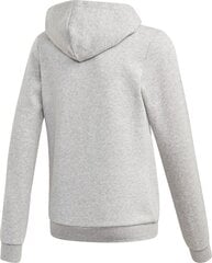 Детский джемпер Adidas Esentials 3 Stripes Hoodie Jr, FQ4143 цена и информация | Свитеры, жилетки, пиджаки для мальчиков | kaup24.ee