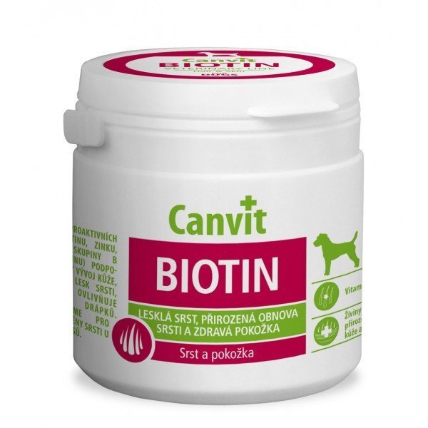 Vitamiinid koertele Canvit Biotin N100, 100 g цена и информация | Toidulisandid ja parasiitide vastased tooted | kaup24.ee