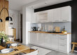 Köögikapp kuivatiga VITA WHITE ACRYLIC GLOSS/BI, valge hind ja info | Köögikapid | kaup24.ee