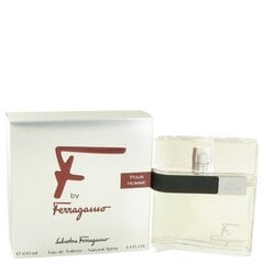 Salvatore Ferragamo F EDT для мужчин 100 мл цена и информация | Мужские духи | kaup24.ee