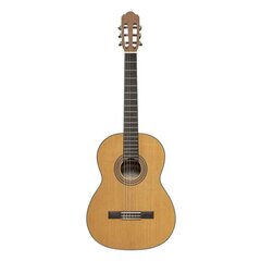 Klassikaline kitarr Angel Lopez Graciano CM цена и информация | Гитары | kaup24.ee