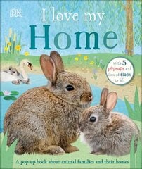 I Love My Home: A pop-up book about animal families and their homes hind ja info | Väikelaste raamatud | kaup24.ee