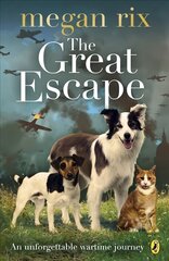 Great Escape цена и информация | Книги для подростков и молодежи | kaup24.ee